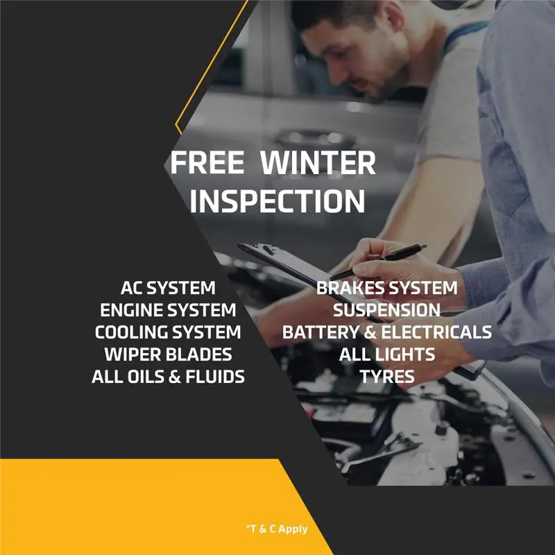 free winter inspection
